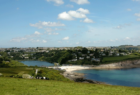 Swanpool, nature, reserve, swanpool nature reserve, swanpool, falmouth, cornwall, swans, lake falmouth, wildlife, local, swanpool beach, trembling sea mat.