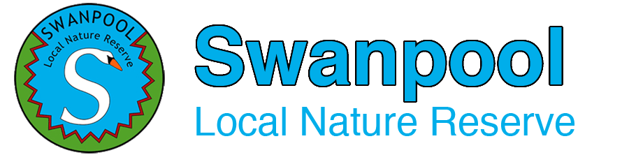 Swanpool, nature, reserve, swanpool nature reserve, swanpool, falmouth, cornwall, swans, lake falmouth, wildlife, local, swanpool beach, trembling sea mat.