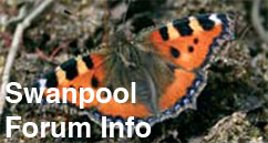 Swanpool, nature, reserve, swanpool nature reserve, swanpool, falmouth, cornwall, swans, lake falmouth, wildlife, local, swanpool beach, trembling sea mat, swanpool management forum.