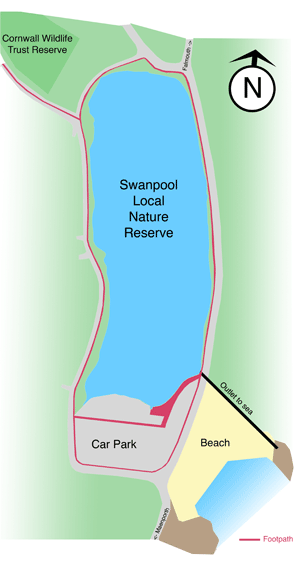Map, Swanpool, nature, reserve, swanpool nature reserve, swanpool, falmouth, cornwall, swans, lake falmouth, wildlife, local, swanpool beach, trembling sea mat.